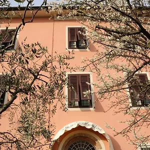 Angelini Dal 1911 Lucca